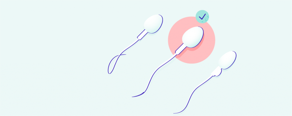 Spermiogram: Test plodnosti pro muže hero-image