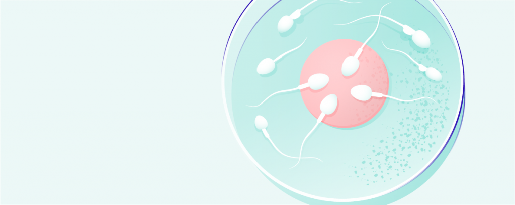PICSI: Pouze zralé spermie oplodňují vajíčko hero-image
