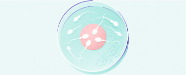 PICSI: Only mature sperm can fertilise an egg hero-image