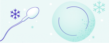 Social freezing: замораживание яйцеклеток и спермы hero-image