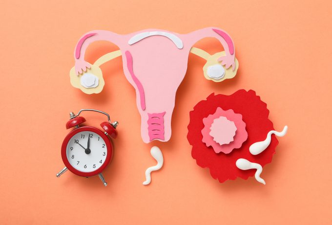 Die Ursachen für weibliche Unfruchtbarkeit sind vielfältig. Erkennen Sie sie rechtzeitig!