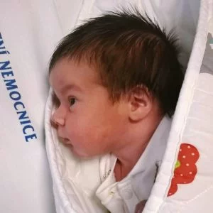 J.N., Česká republika