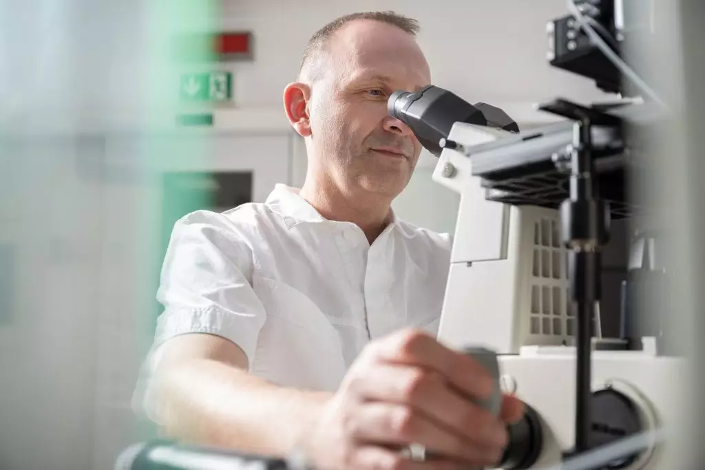 Ing. Weber embryolog