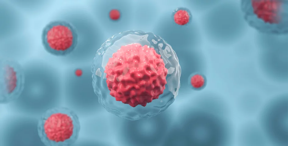 Reprodukcni imunologie