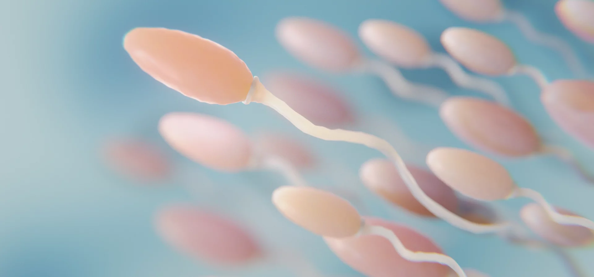 Vyšetření mužské neplodnosti HERO IMAGE