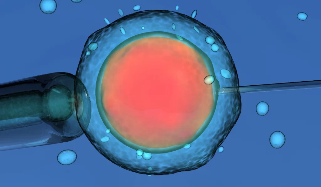 Umělé oplodnění hero-image