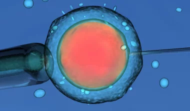 Umělé oplodnění hero-image