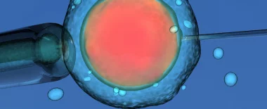 Înainte de începerea FIV-ului hero-image