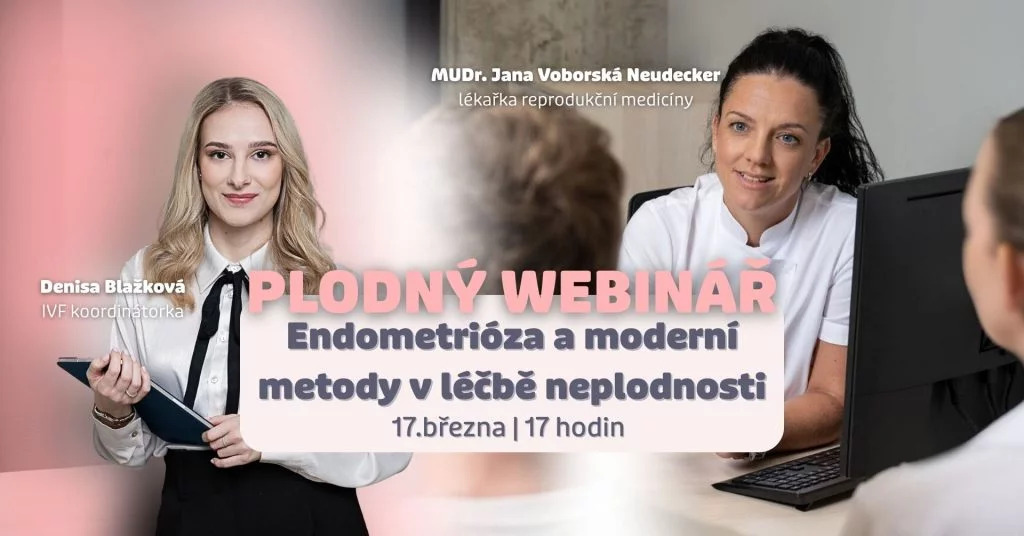 Endometrióza a moderní metody v léčbě neplodnosti hero-image