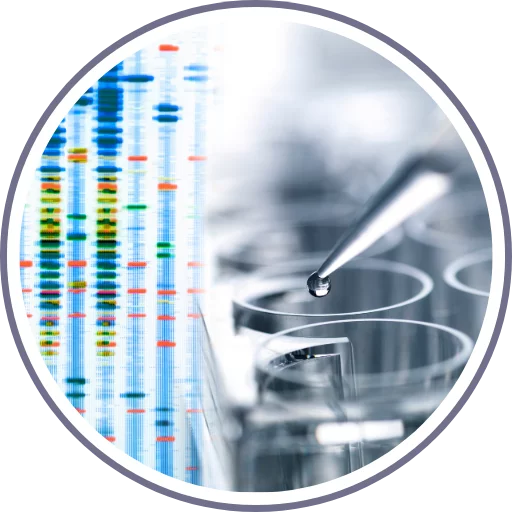 PGT: genetické testování embryí v rámci IVF image