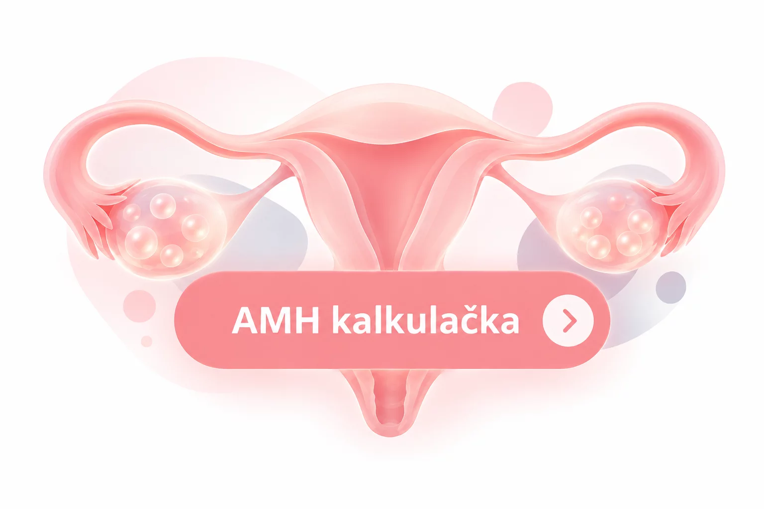AMH kalkulačka
